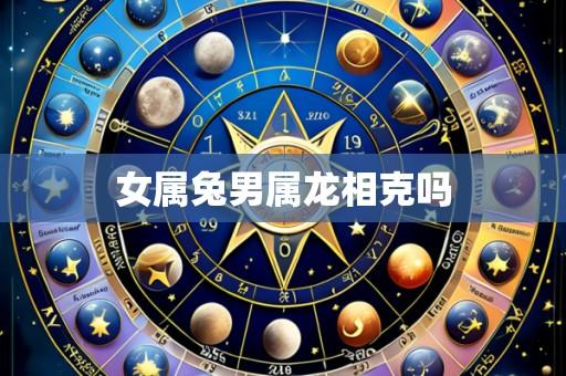 女属兔男属龙相克吗