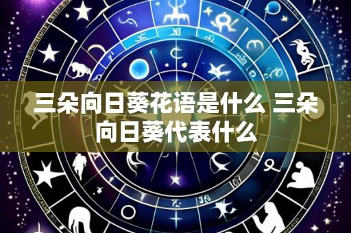 三朵向日葵花语是什么 三朵向日葵代表什么
