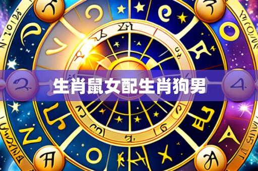 生肖鼠女配生肖狗男