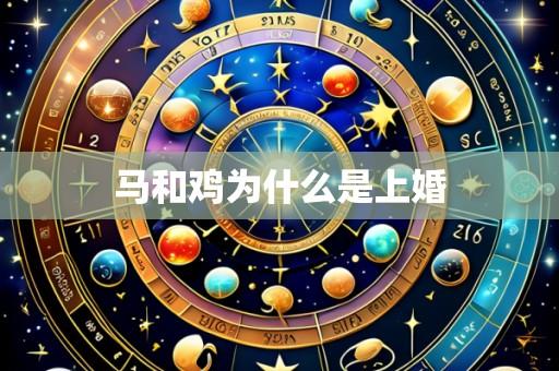 马和鸡为什么是上婚