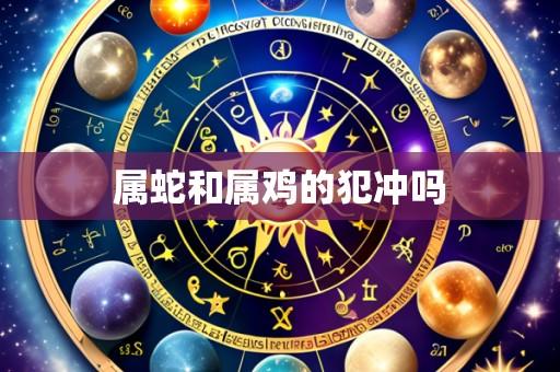 属蛇和属鸡的犯冲吗