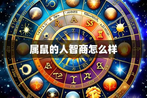 属鼠的人智商怎么样