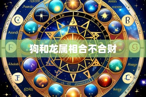 狗和龙属相合不合财