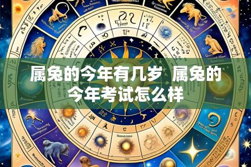 属兔的今年有几岁  属兔的今年考试怎么样