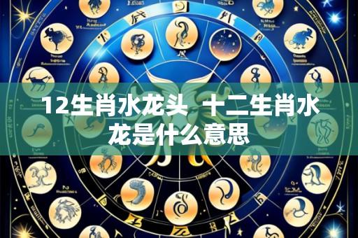 12生肖水龙头  十二生肖水龙是什么意思