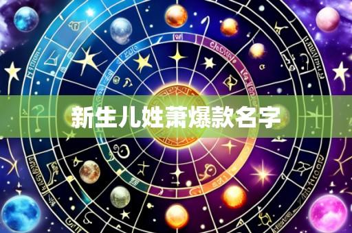 新生儿姓萧爆款名字