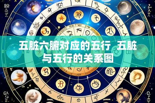 五脏六腑对应的五行  五脏与五行的关系图