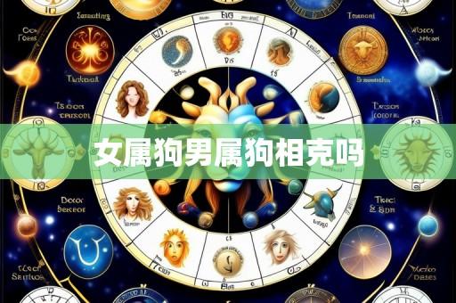 女属狗男属狗相克吗