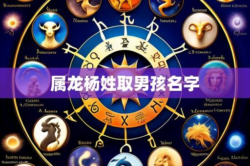 属龙杨姓取男孩名字
