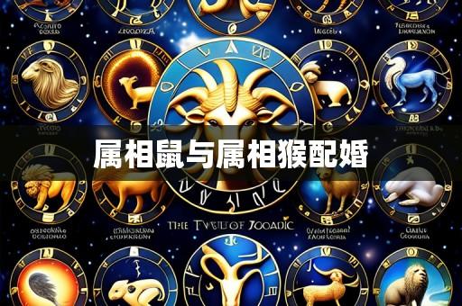 属相鼠与属相猴配婚