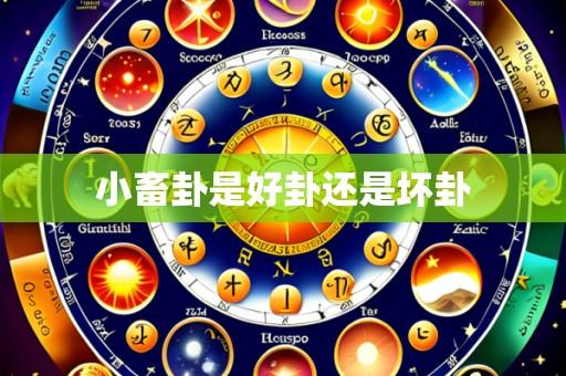 小畜卦是好卦还是坏卦