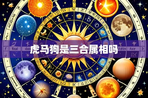 虎马狗是三合属相吗
