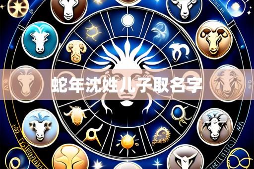 蛇年沈姓儿子取名字