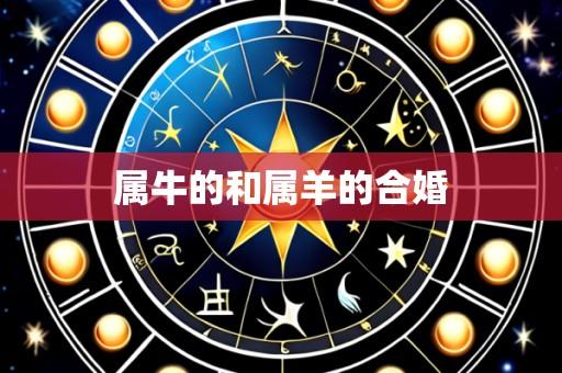 属牛的和属羊的合婚