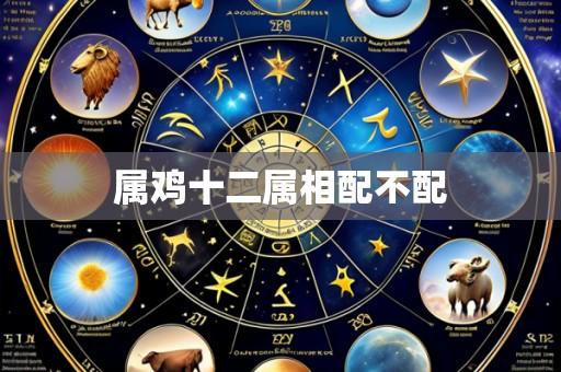 属鸡十二属相配不配