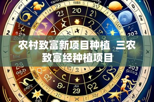 农村致富新项目种植 三农致富经种植项目