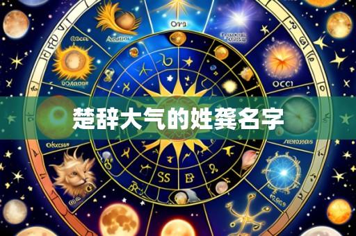 楚辞大气的姓龚名字