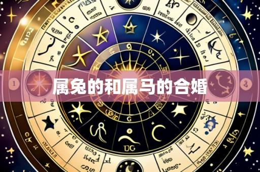 属兔的和属马的合婚