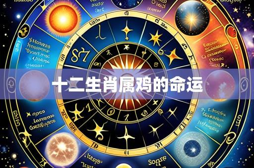 十二生肖属鸡的命运
