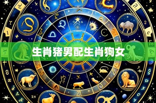 生肖猪男配生肖狗女
