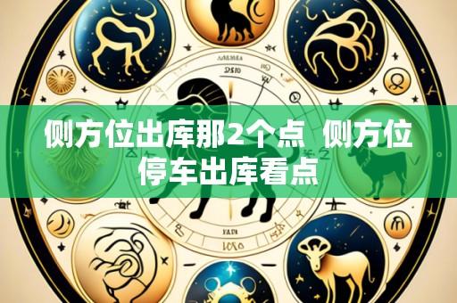 侧方位出库那2个点 侧方位停车出库看点