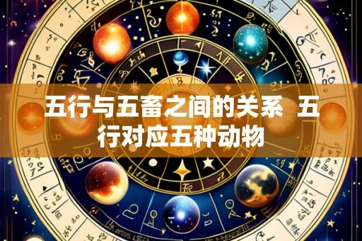 五行与五畜之间的关系  五行对应五种动物