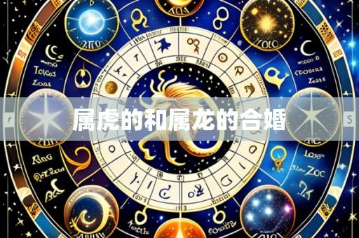 属虎的和属龙的合婚