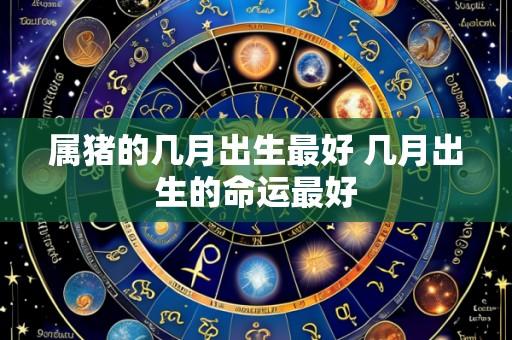 属猪的几月出生最好 几月出生的命运最好