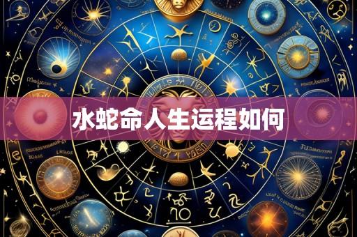 水蛇命人生运程如何
