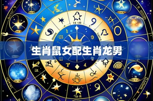 生肖鼠女配生肖龙男