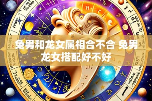 兔男和龙女属相合不合 兔男龙女搭配好不好