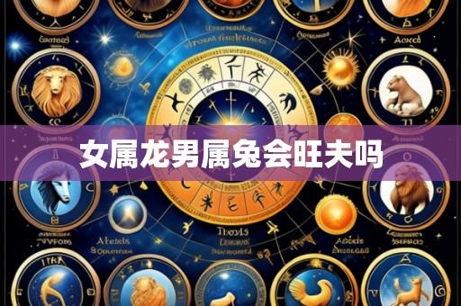 女属龙男属兔会旺夫吗
