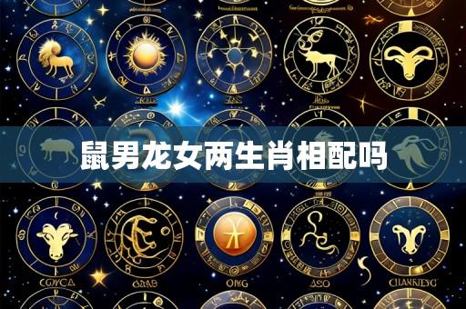 鼠男龙女两生肖相配吗