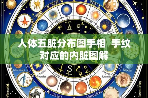 人体五脏分布图手相  手纹对应的内脏图解