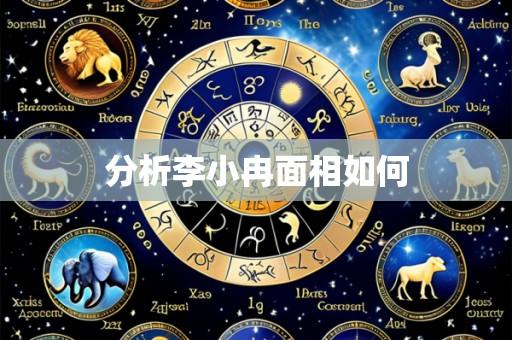 分析李小冉面相如何