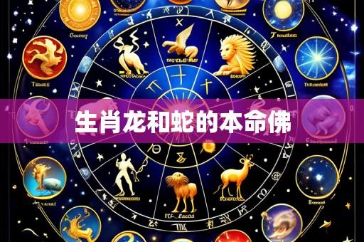 生肖龙和蛇的本命佛