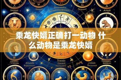 乘龙快婿正确打一动物 什么动物是乘龙快婿