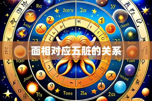 面相对应五脏的关系