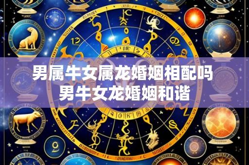 男属牛女属龙婚姻相配吗 男牛女龙婚姻和谐