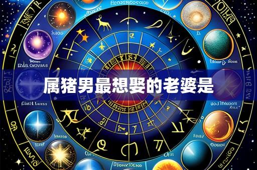 属猪男最想娶的老婆是
