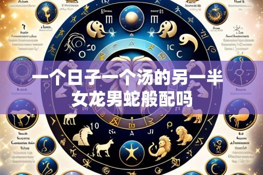 一个日子一个汤的另一半  女龙男蛇般配吗