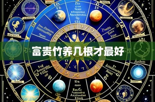 富贵竹养几根才最好