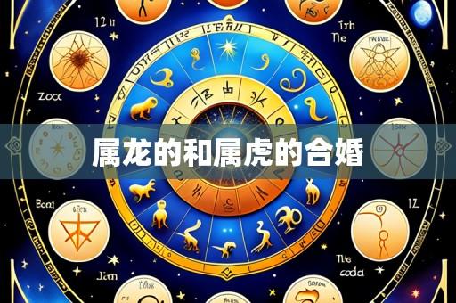 属龙的和属虎的合婚