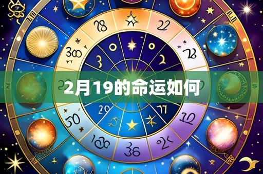 2月19的命运如何