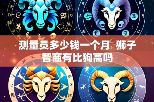 测量员多少钱一个月 狮子智商有比狗高吗