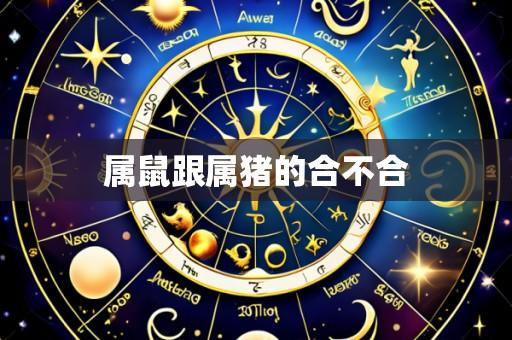 属鼠跟属猪的合不合