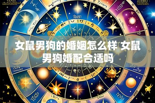 女鼠男狗的婚姻怎么样 女鼠男狗婚配合适吗