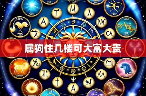 属狗住几楼可大富大贵