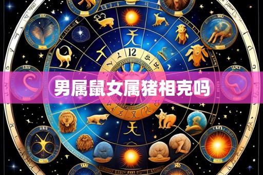 男属鼠女属猪相克吗
