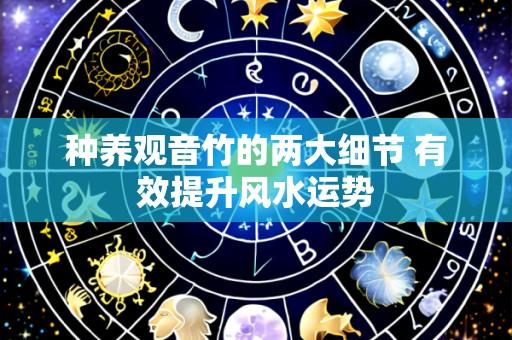 种养观音竹的两大细节 有效提升风水运势